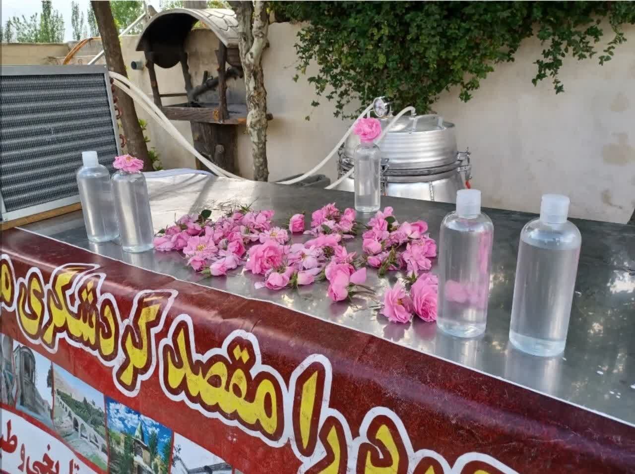 گلاب‌گیری بروجرد در فهرست رویدادهای گردشگری ایران ثبت شد