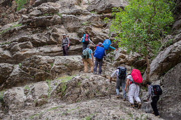سرنوشت دو کوهنورد مفقود شده در دماوند اعلام شد سرنوشت دو کوهنورد مفقود شده در دماوند اعلام شد