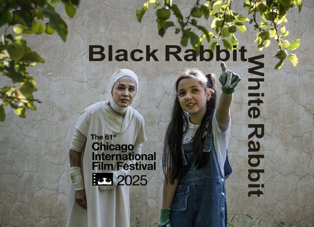 «خرگوش سیاه خرگوش سفید» به شیکاگو میرود «خرگوش سیاه خرگوش سفید» به شیکاگو میرود