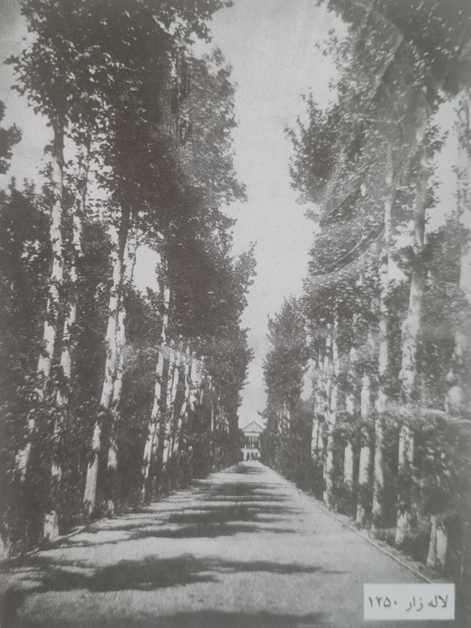 عکس/ خیابان لالهزار در دوران سلطنت ناصرالدینشاه