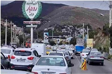 ایجاد تصادفات ساختگی برای فروختن زیتون / ماجرا چه بود؟