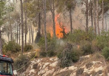 آتشسوزی در پناهگاه حیات وحش بیستون