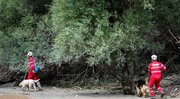 سرنوشت ۲۰ گردشگر گم شده در جنگل دلفور