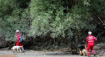 سرنوشت 20 گردشگر گم شده در جنگل دلفور