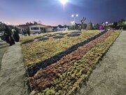 نهمین جشنواره انگور ارومیه برگزار می‌شود
