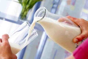 نکات کلیدی در انتخاب شیر؛ چه شیری برای شما مناسب تر است؟/ انواع شیر را بشناسید