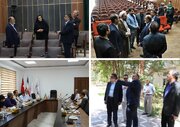 در کرمان سینمای مدرن نداریم