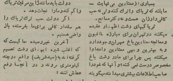 تریاکیهای تهران به رشت پناه بردند! +جزئیات