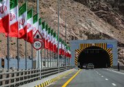 ببینید | حضور یک اسب وحشی در تونل آزادراه تهران شمال!