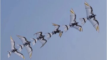 این یک پرنده نیست، یک ربات جاسوسی است!