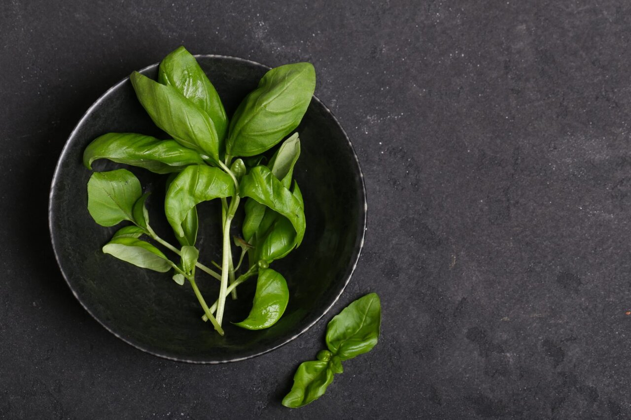 هفت دمنوش مناسب برای رفع خستگی