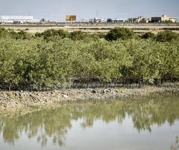 برگزاری رویداد «حرا شیخ اَندرآبی» با شعار کودک معمار در لافت