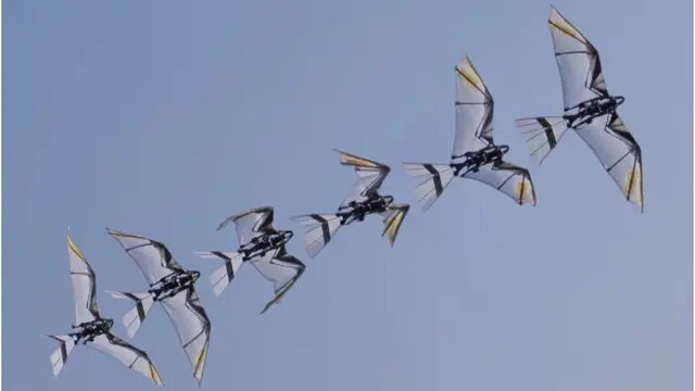 پهپاد متفاوت چین به راحتی دشمن را غافلگیر میکند / ربات پرنده یا شاهین واقعی؟ پهپاد متفاوت چین به راحتی دشمن را غافلگیر میکند / ربات پرنده یا شاهین واقعی؟