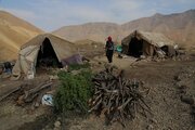 کوچ پاییزه خانوارهای عشایر قزوین آغاز شد