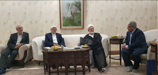 اولین تصویر از دیدار عارف با کروبی