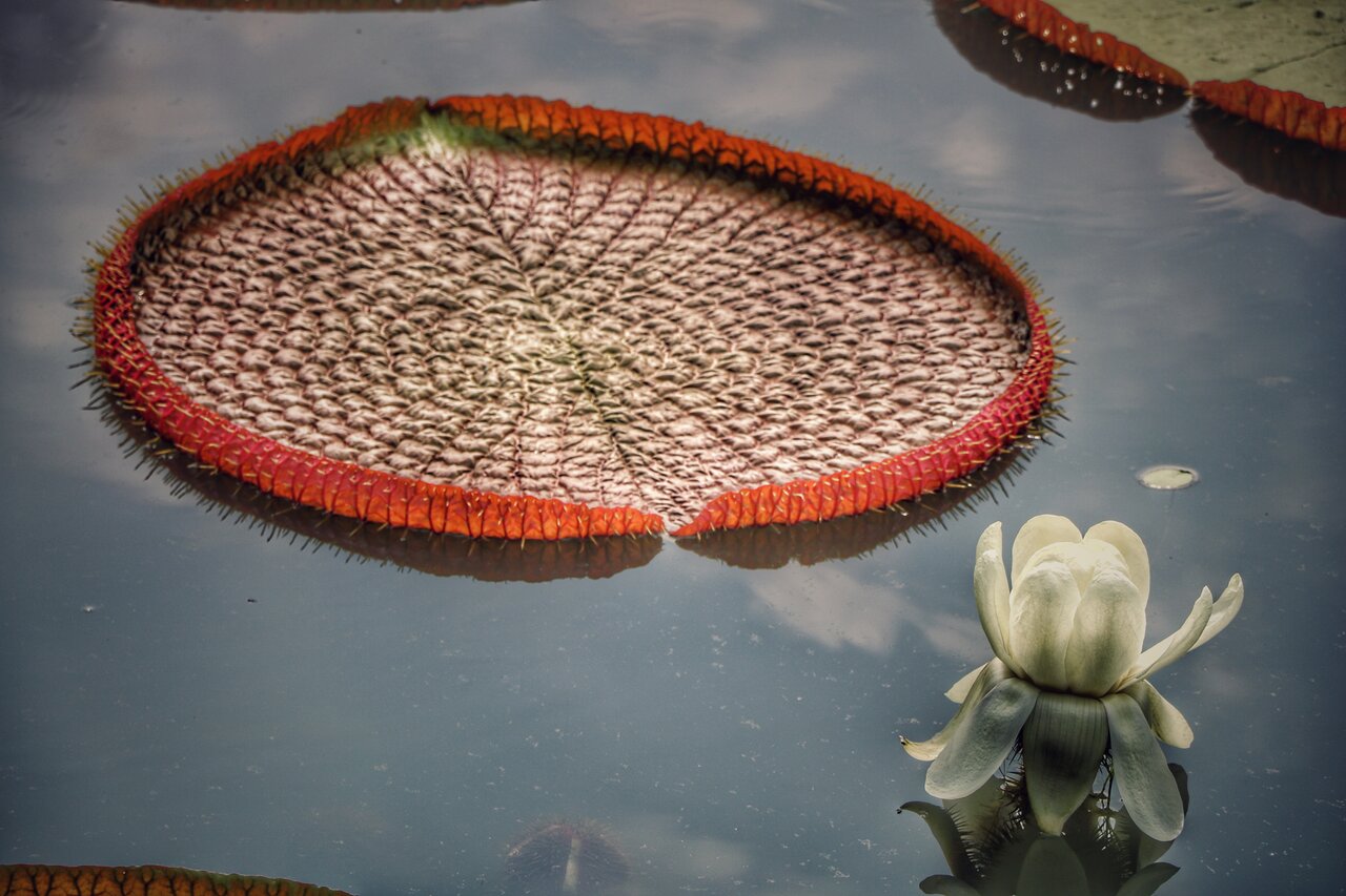 از بازارهای شناور تا معابد خیالانگیز/ روایت یک سفر از بانکوک تا چیانگمای