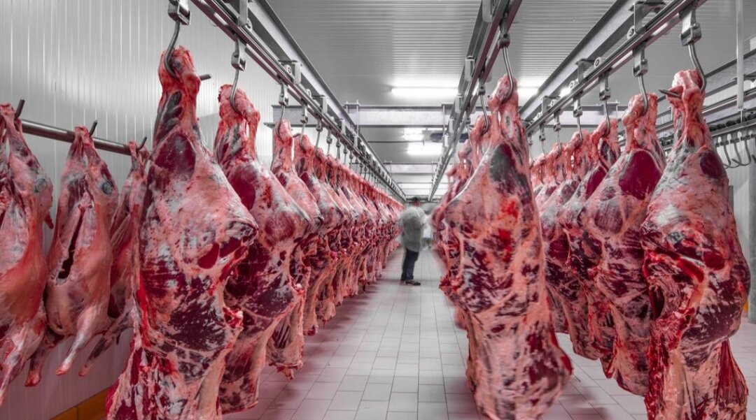 تنها کشور دنیا که در تولید همه مواد غذایی خودکفاست