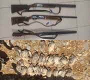 دستگیری شکارچیان غیرمجاز کبک وحشی در منطقه شکار و صید ممنوع گرین