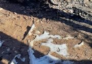 رازگشایی از جسد سوخته در ضایعات تهران