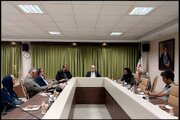 دیدار سرپرست معاونت امور هنری با آیینی- سنتی‌ها