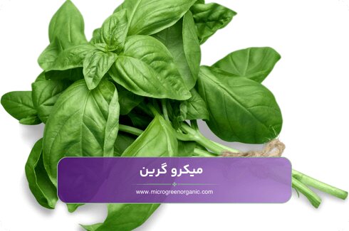 عوارض مصرف بیش از حد روکولا