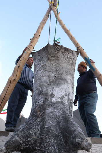 سمنان؛ مردمی که گل کاشتند و کاری کردند کارستان / شبیه هیچ جا؛ سمنان در آغوش شهدا