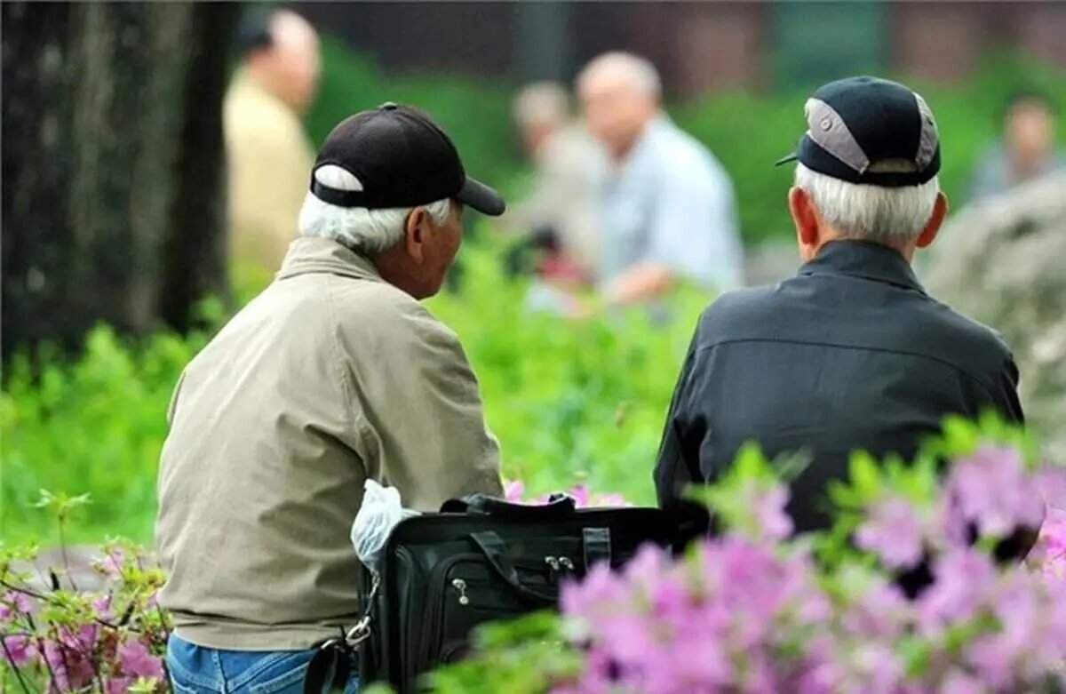پرداخت حقوق آذر ماه برای ۵ میلیون نفر از بازنشستگان تأمین اجتماعی آغاز شد. پرداخت حقوق آذر ماه برای ۵ میلیون نفر از بازنشستگان تأمین اجتماعی آغاز شد.