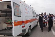 انحراف مینی‌بوس  از جاده ۱۴ مصدوم برجای گذاشت
