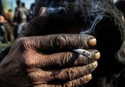 ویدئویی تکان‌دهنده از پاتوق‌ معتادان متجاهر در تهران/ هر گرم شیشه فقط ۲۰۰ هزار تومان/ دوا دیگر همه جا نیست، سورچه مصرف می‌کنیم