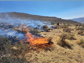 مهار سریع آتشسوزی «گود خونی» هلن با همدلی مردم و محیطبانان