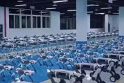 ببینید | تولید انبوه ربات سگ برای ارتش چین