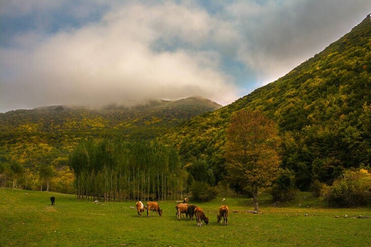 پنجره‌ای به پاییز ایران/ ۵ مقصد رنگارنگ برای پاییزگردی و خاطره‌سازی