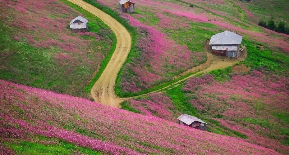 کمپ زیر آسمان پاییز/ ۵ مقصد بکر برای کمپینگ در نیمه دوم سال