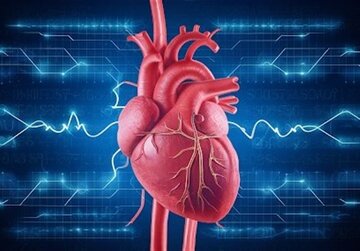 بهترین ورزش‌ها برای تضمین سلامت قلب