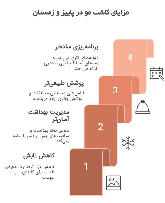چهار دلیل انتخاب نیمه دوم سال برای کاشت مو_ UV پایین، تعریق کمتر، پوشش آسان، برنامه_ریزی راحت