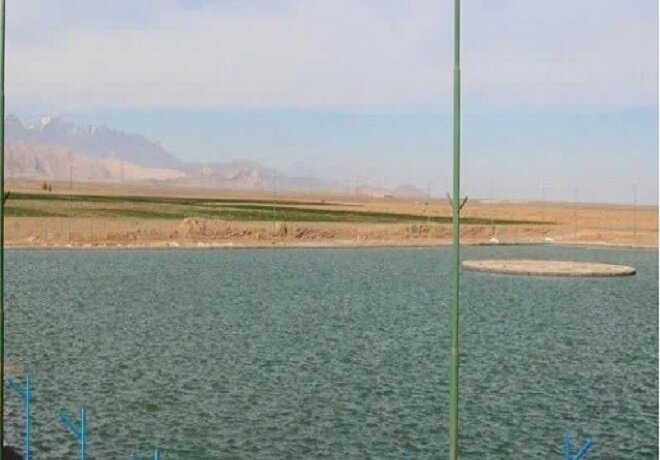 مهابادِ اردستان، سرزمین مردمان خونگرم؛ شهری که بانوانش «قالی» را بدون نقشه میبافند