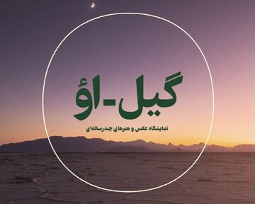 برگزاری نمایشگاه عکس و هنرهای چند رسانه‌ای " گیل- او " در کرمان 