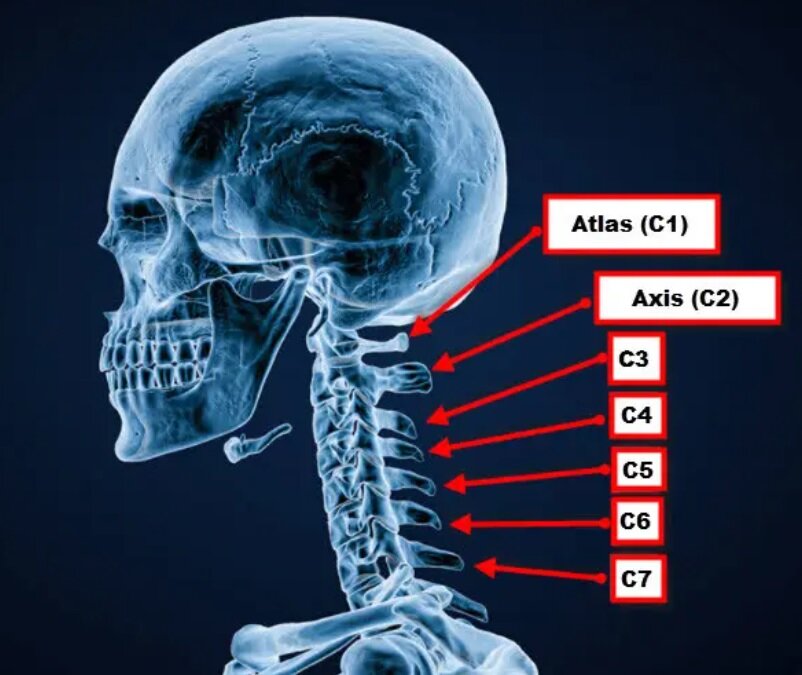 وقتی خمیازهای ساده زندگی را زیر و رو میکند/ زنی که خمیازه کشید و روانه بیمارستان شد