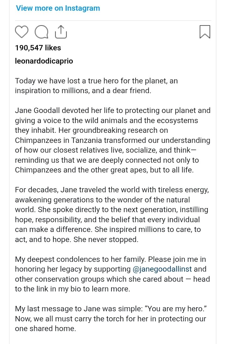 لئوناردو دیکاپریو: یک قهرمان واقعی برای سیارهمان را از دست دادیم لئوناردو دیکاپریو: یک قهرمان واقعی برای سیارهمان را از دست دادیم