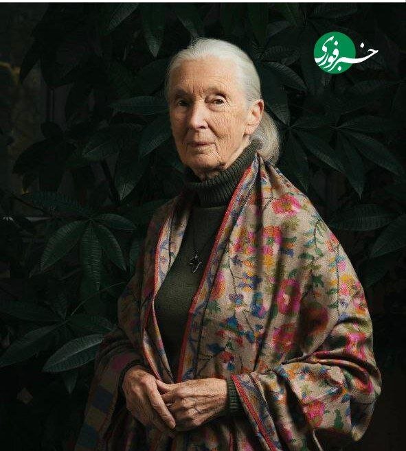 جین گودال درگذشت