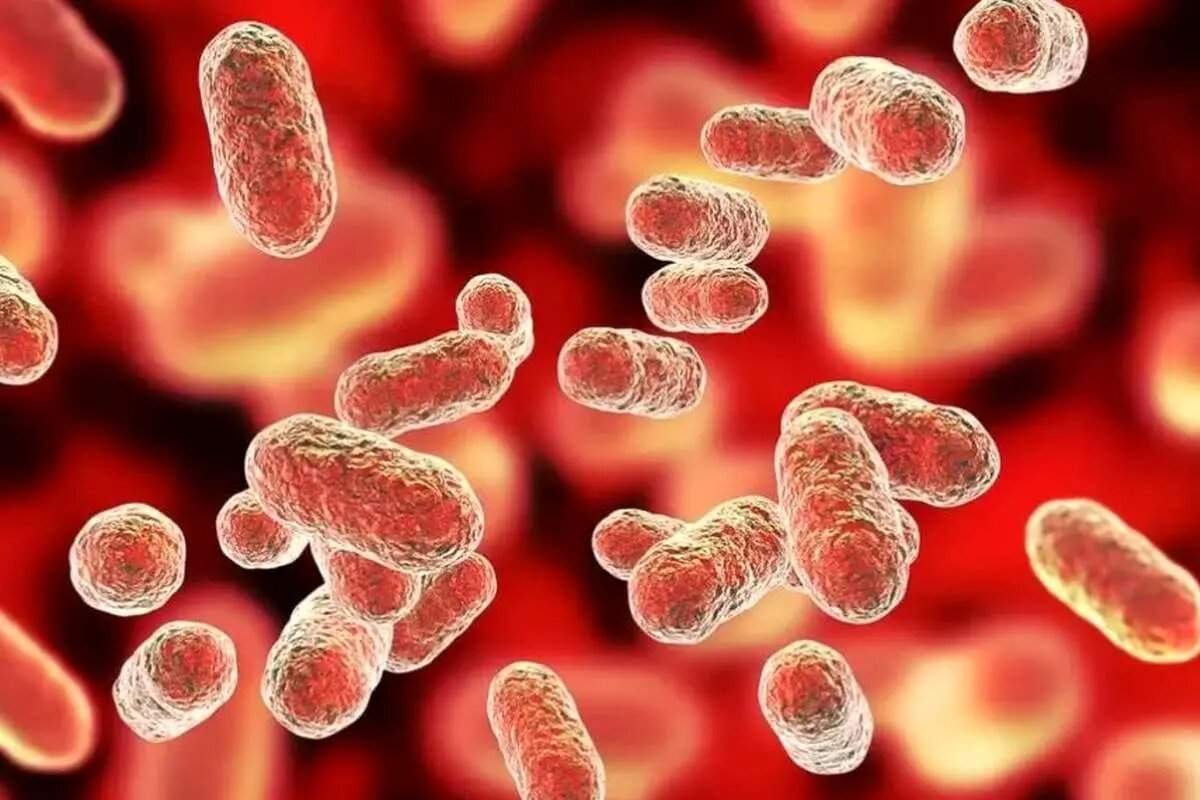 کاهش سن ابتلا به برخی انواع سرطان در ایران مشاهده شده است. کاهش سن ابتلا به برخی انواع سرطان در ایران مشاهده شده است.