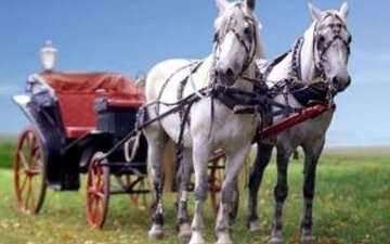 لنین می گفت چپ افراطی و راست افراطی، دو اسب هستند که یک درشکه را حمل می کنند!