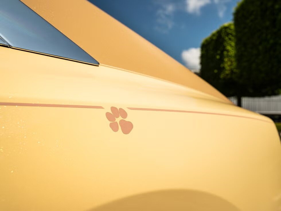 یک سگ صاحب رولزرویس شد! /عکس