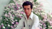 حاجت شهید باقری که امام رضا(ع) زود برآورده کرد