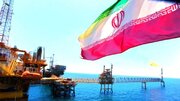 ببینید | افشاگری جنجالی استاد دانشگاه تهران علیه کاسبان تحریم: محموله‌های نفتی ایران را لو دادند!