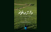 «دشت می‌خواند» در بخش مسابقه دو جشنواره فرانسوی 