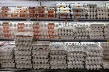 جنجال تخم‌مرغ از مرغداری تا بازار / نیمرو با طعم تورم