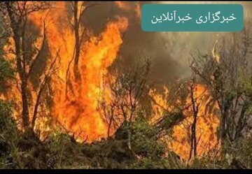 تلاش بیوقفه برای مهار آتشسوزی در کوههای دلا