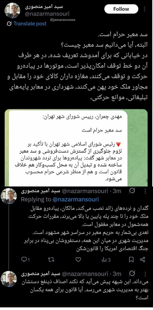 واکنش یک استاد دانشگاه به اظهارات چمران درباره دستفروشان / دستفروشان بیپناه در برابر جنگ اقتصادی امریکا را قانونشکن میدانند! 2
