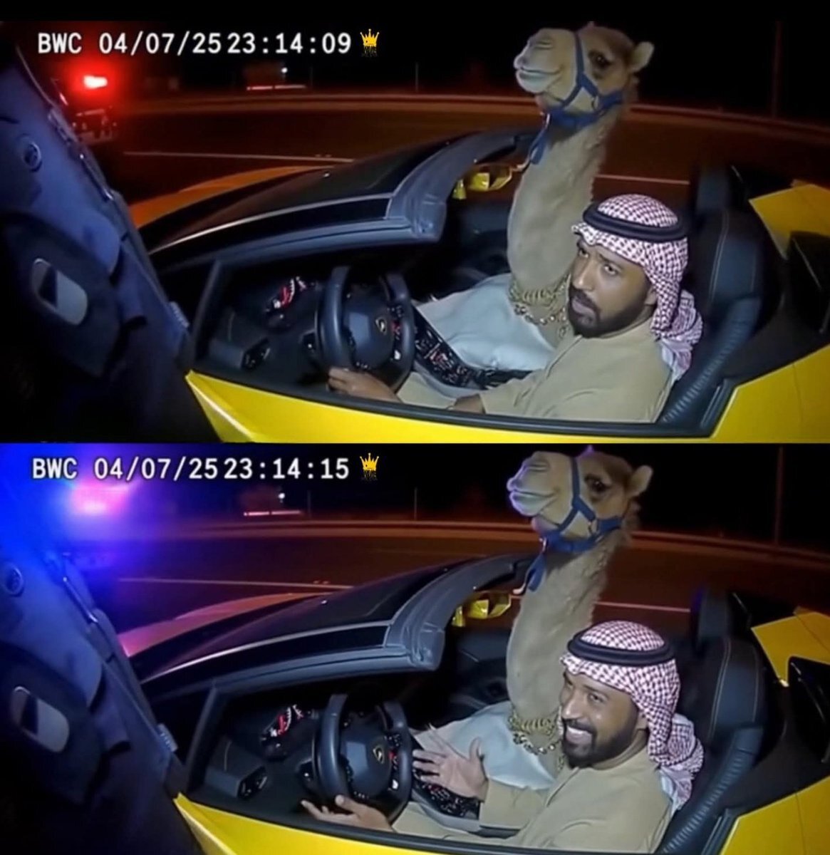 عکس | ثبت لحظه عجیب از لامبورگینی‌سواری شتر!